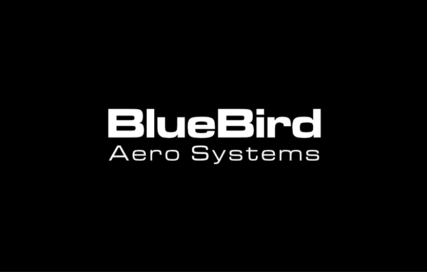 bluebird logo 4 1